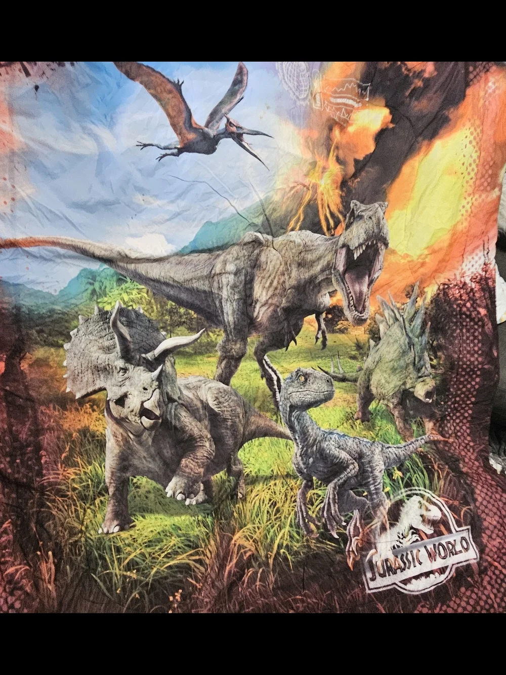 Jurassic World Sheet Set And Comforter.